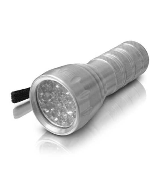 Erba alumínium LED zseblámpa 21 LED (50 lumen) 25503